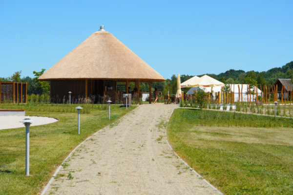 APARAT - 2025-07-01T145822.036