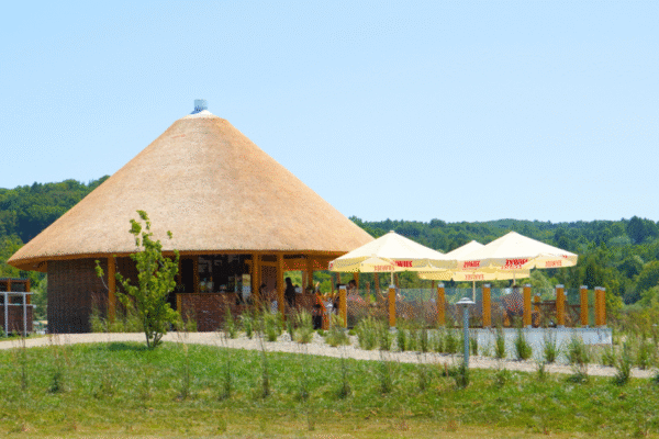 GALERIA WWW 1800x1200 (41)