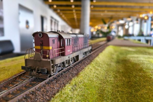 GALERIA WWW 1800x1200 (19) (1)