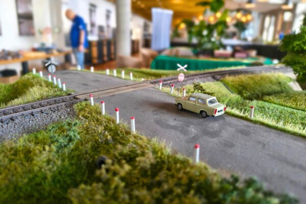 GALERIA WWW 1800x1200 (20) (1)