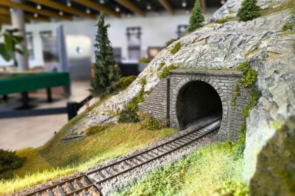 GALERIA WWW 1800x1200 (22) (1)