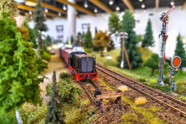 GALERIA WWW 1800x1200 (23) (1)