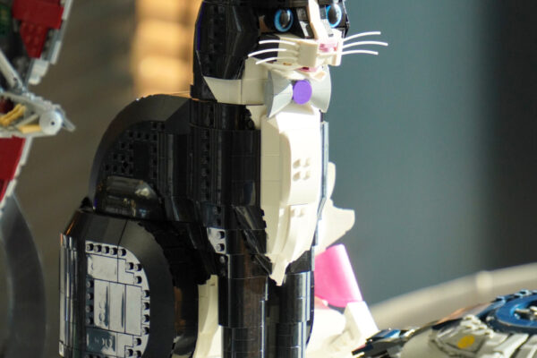 GALERIA WWW 1800x1200 (3)